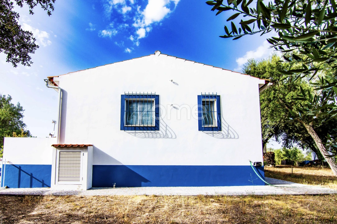 Quinta T5 para Venda em Crato e Mártires, Flor da Rosa e Vale do Peso Foto 11