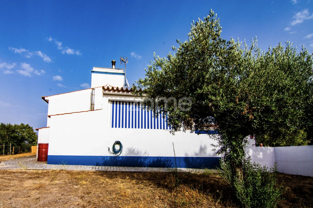 Quinta T5 para Venda em Crato e Mártires, Flor da Rosa e Vale do Peso Foto 13