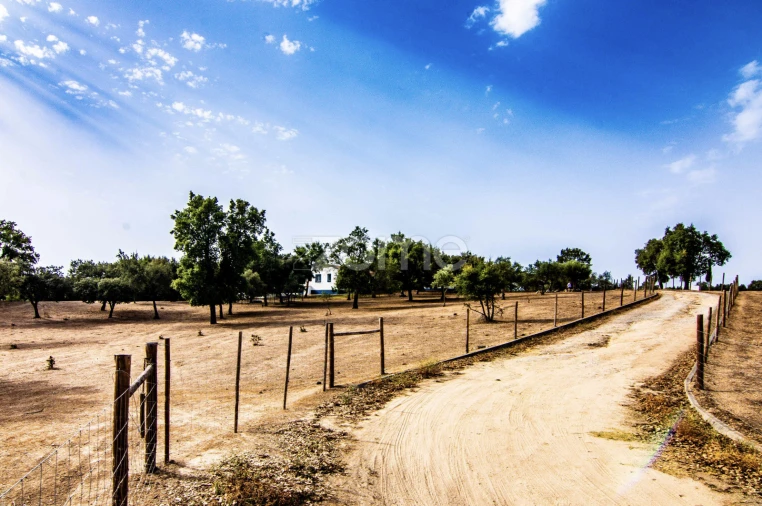 Quinta T5 para Venda em Crato e Mártires, Flor da Rosa e Vale do Peso Foto 5
