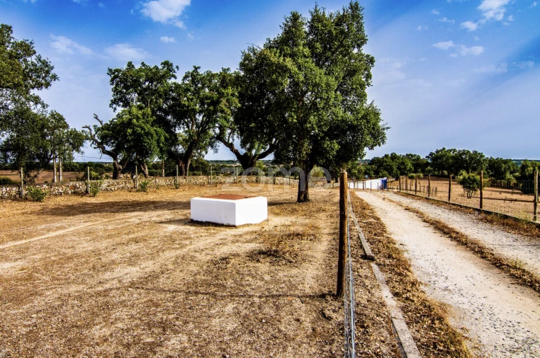 Quinta T5 para Venda em Crato e Mártires, Flor da Rosa e Vale do Peso Foto 7