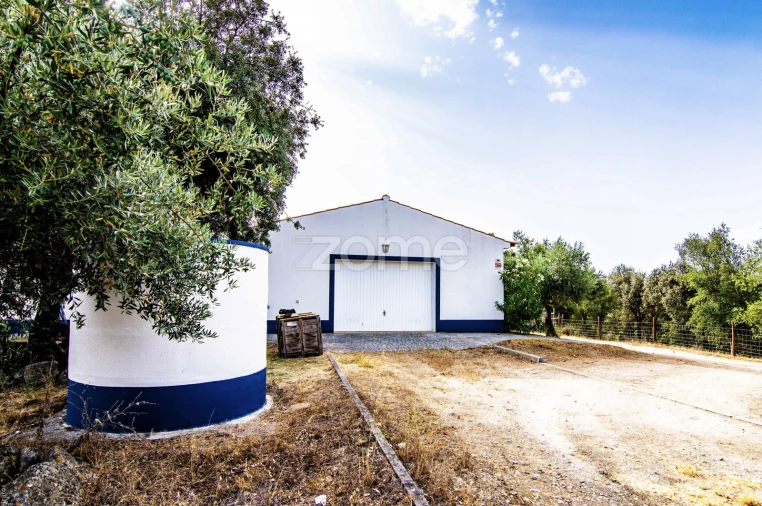 Quinta T5 para Venda em Crato e Mártires, Flor da Rosa e Vale do Peso Foto 9
