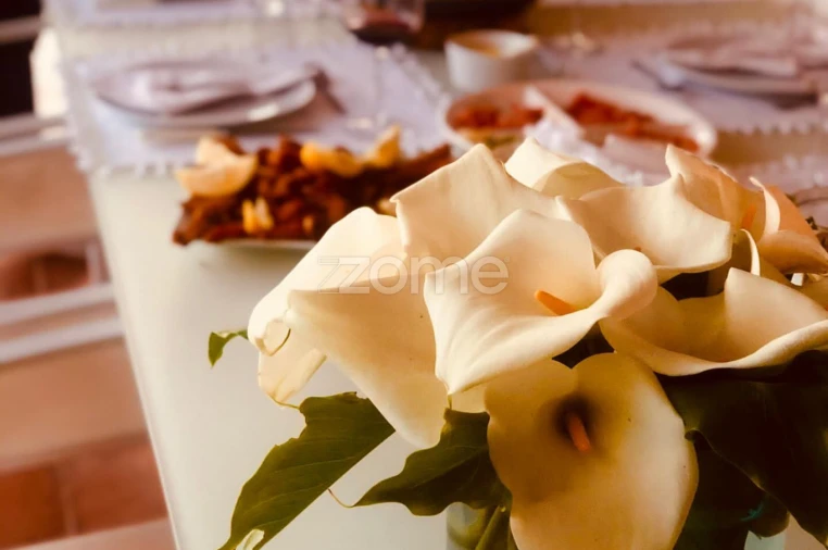 Quinta T5 para Venda em Crato e Mártires, Flor da Rosa e Vale do Peso Foto 60