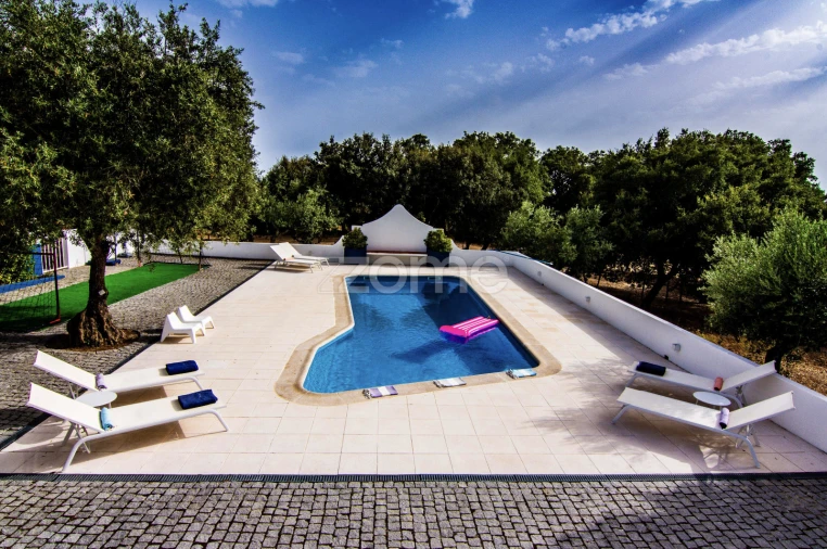 Quinta T5 para Venda em Crato e Mártires, Flor da Rosa e Vale do Peso Foto 66