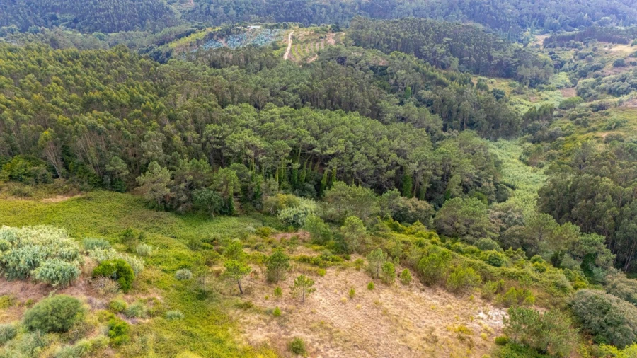 Quinta T4 para Venda em Mafra Foto 46