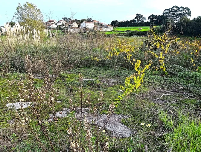 Terreno para Venda em Angeja Foto 3