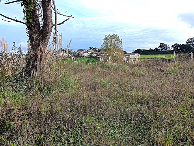 Terreno para Venda em Angeja Foto 4