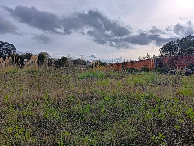 Terreno para Venda em Angeja Foto 6