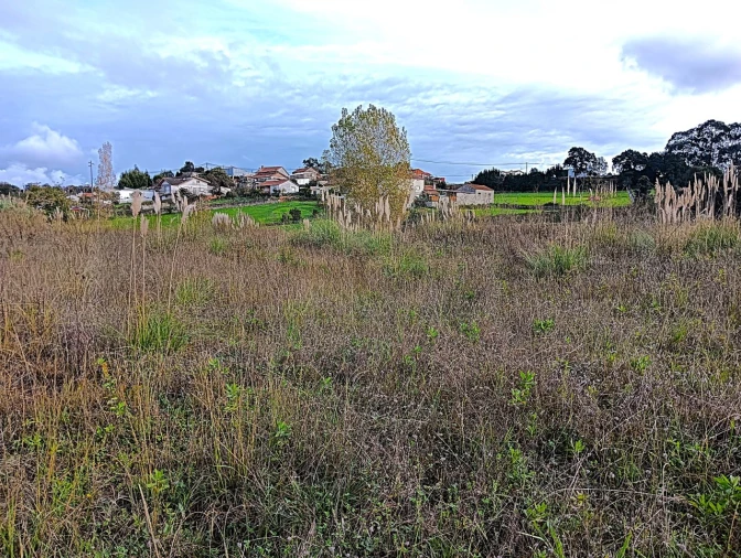Terreno para Venda em Angeja Foto 7