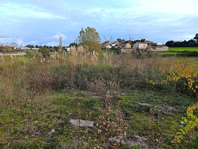 Terreno para Venda em Angeja Foto 9