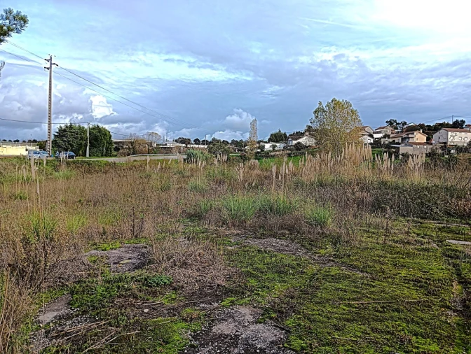 Terreno para Venda em Angeja Foto 10