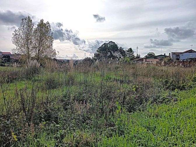 Terreno para Venda em Angeja Foto 13