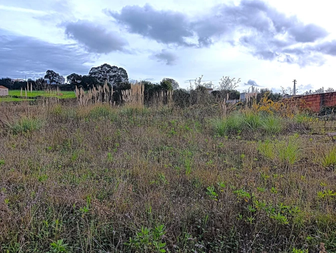 Terreno para Venda em Angeja Foto 18