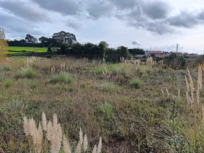 Terreno para Venda em Angeja Foto 21