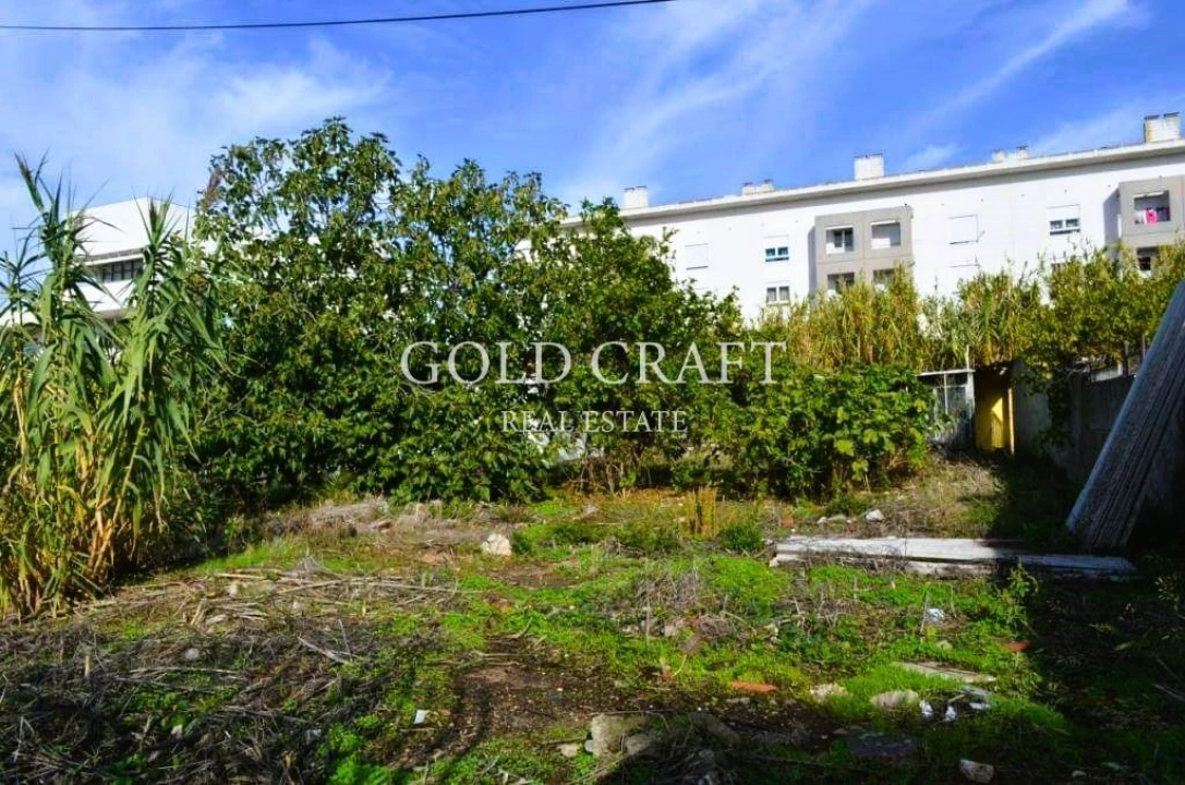 Terreno para Venda em Ajuda Foto 9