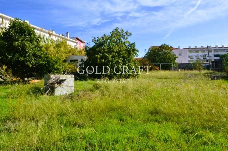 Terreno para Venda em Ajuda Foto 2