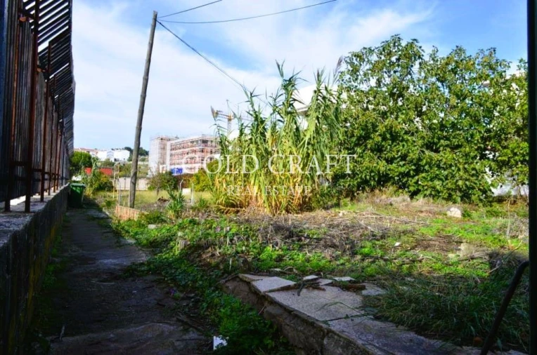 Terreno para Venda em Ajuda Foto 11