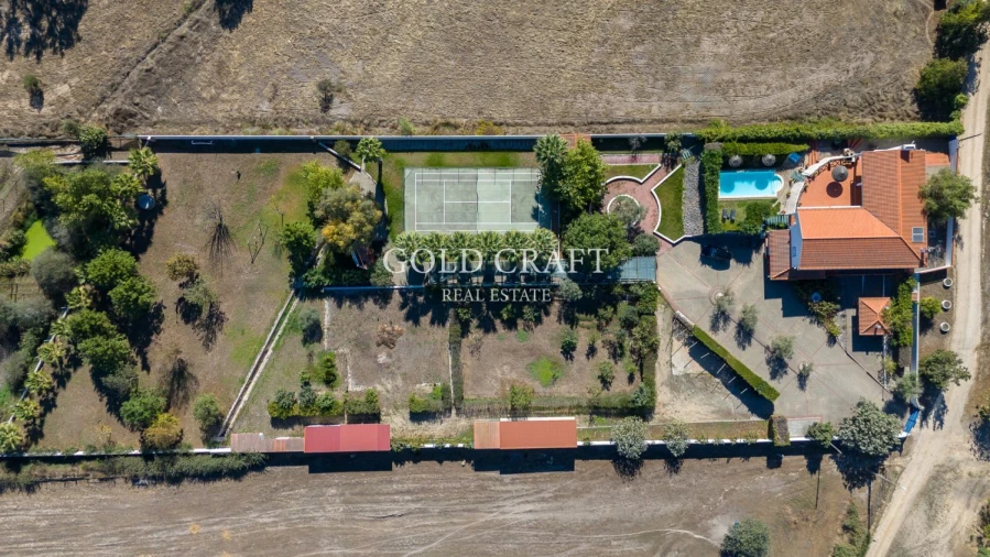 Quinta T4 para Venda em Galveias Foto 57