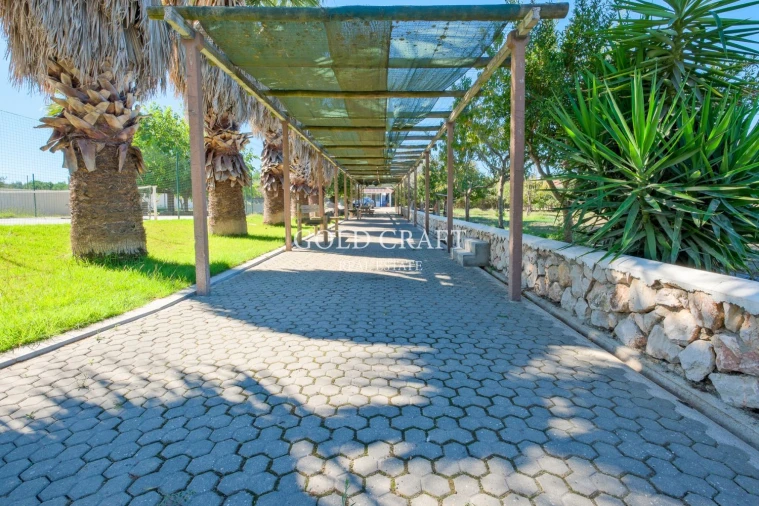 Quinta T4 para Venda em Galveias Foto 49