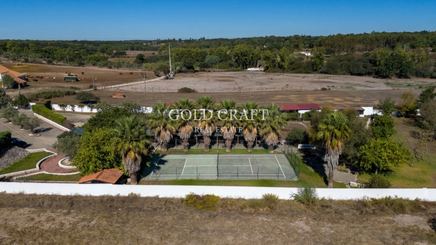 Quinta T4 para Venda em Galveias Foto 55