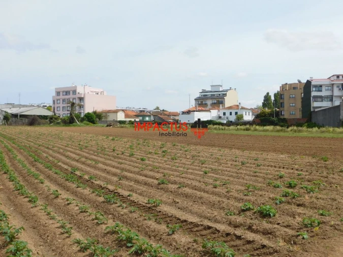 Terreno para Venda em Vila Nova da Telha Foto 1