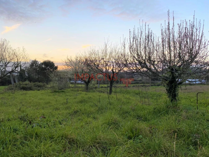 Terreno para Venda em Castêlo da Maia Foto 4