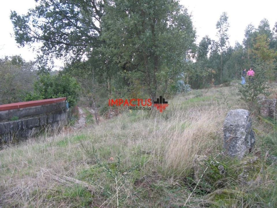 Terreno para Venda em Monte Córdova Foto 4