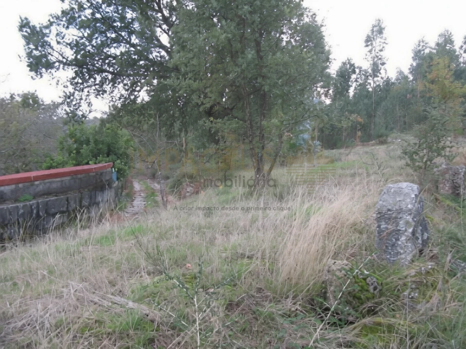 Terreno para Venda em Monte Córdova Foto 6