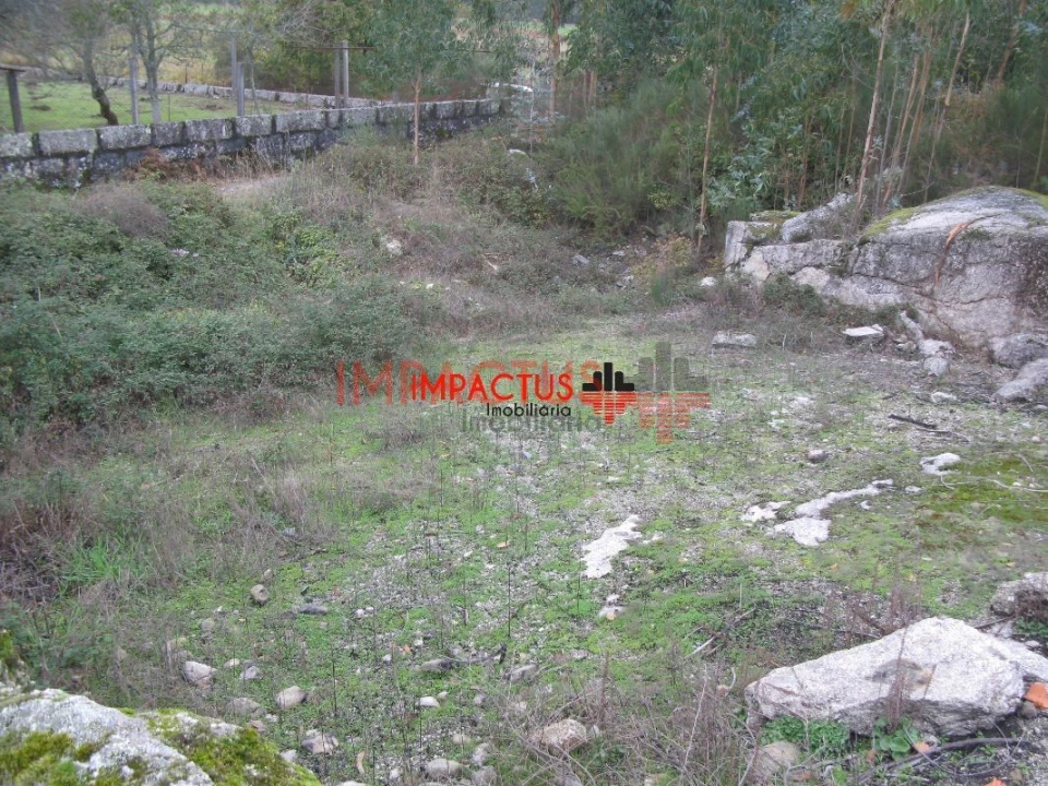 Terreno para Venda em Monte Córdova Foto 10
