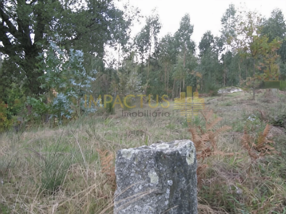 Terreno para Venda em Monte Córdova Foto 7