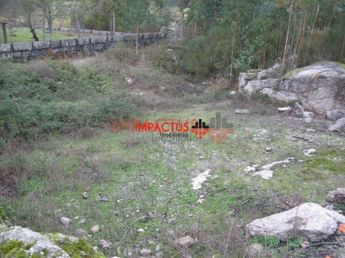 Terreno para Venda em Monte Córdova Foto 10