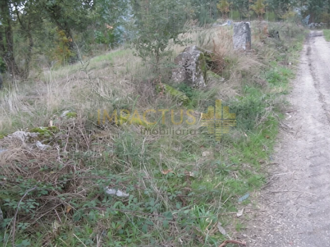Terreno para Venda em Monte Córdova Foto 5