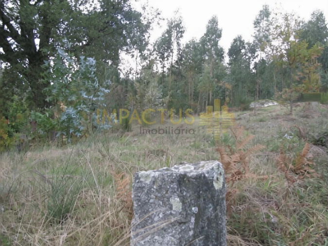 Terreno para Venda em Monte Córdova Foto 7