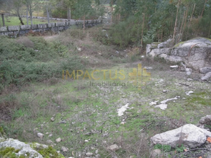 Terreno para Venda em Monte Córdova Foto 3