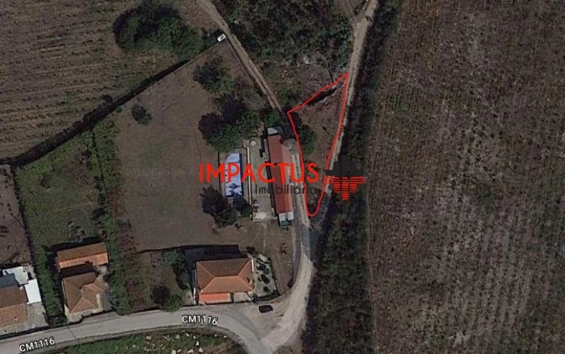 Terreno para Venda em Monte Córdova Foto 2