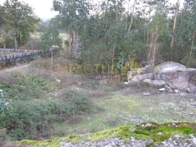 Terreno para Venda em Monte Córdova Foto 2