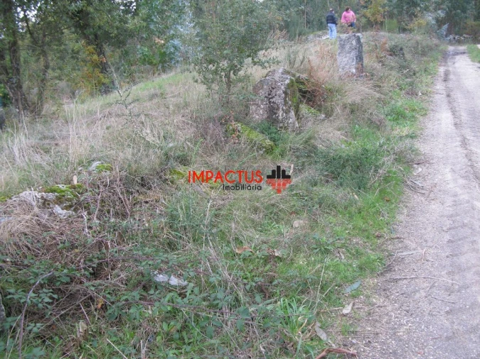 Terreno para Venda em Monte Córdova Foto 6