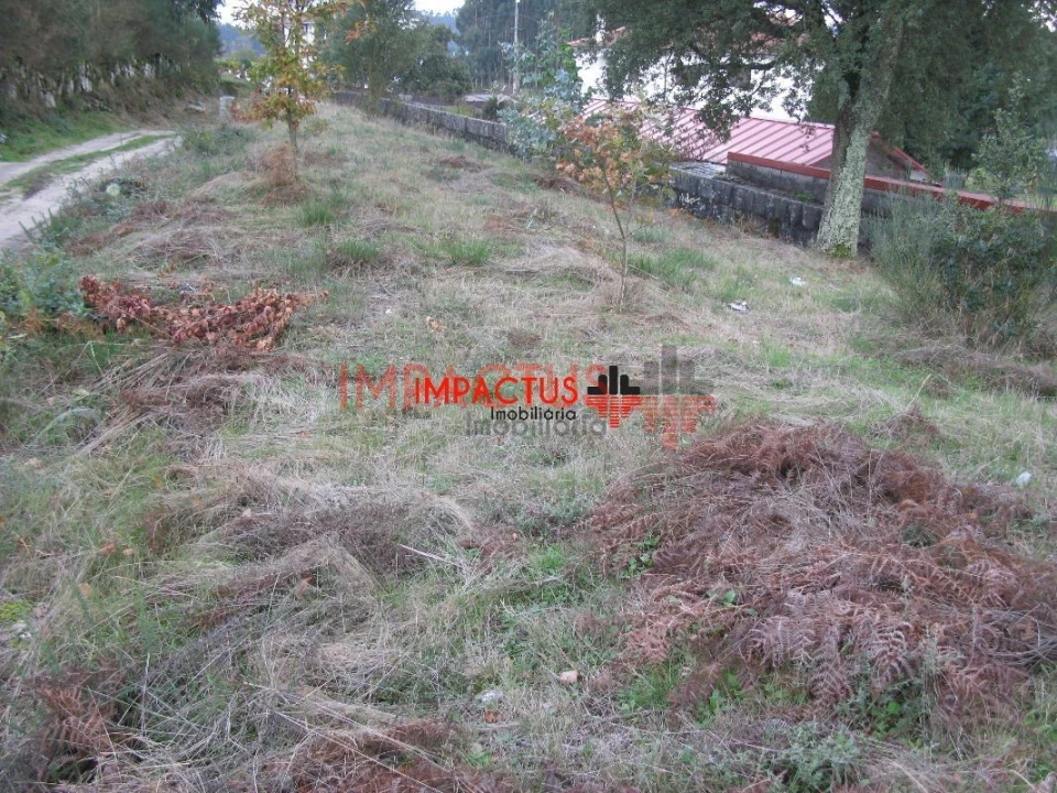 Terreno para Venda em Monte Córdova Foto 9