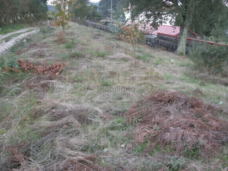 Terreno para Venda em Monte Córdova Foto 4