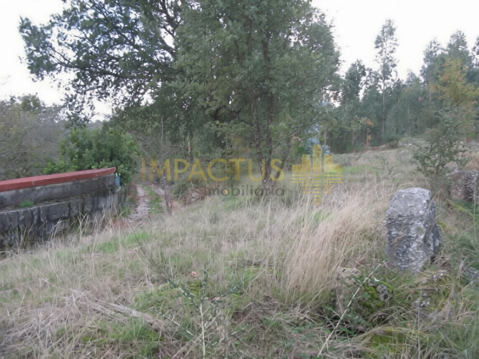 Terreno para Venda em Monte Córdova Foto 6