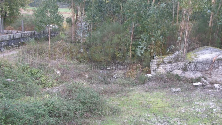 Terreno para Venda em Monte Córdova