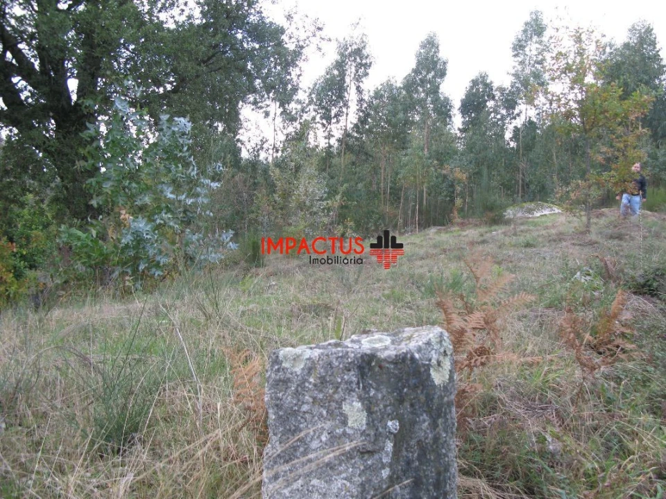 Terreno para Venda em Monte Córdova Foto 8