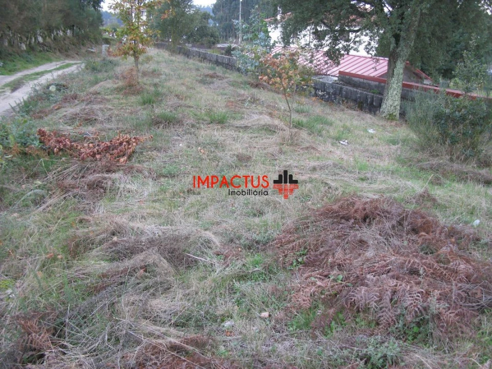 Terreno para Venda em Monte Córdova Foto 5