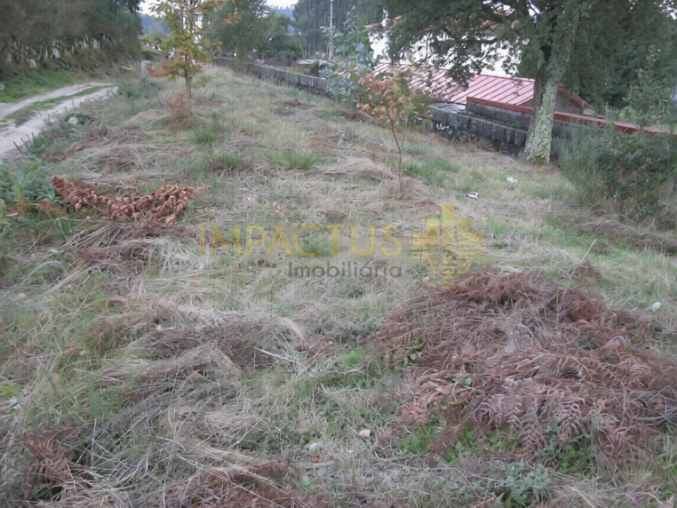 Terreno para Venda em Monte Córdova Foto 4