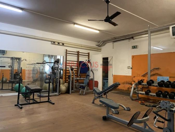 Loja para Venda em Bougado (São Martinho e Santiago) Foto 12