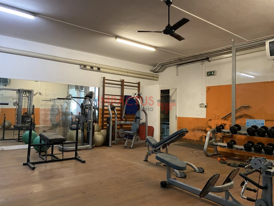 Loja para Venda em Bougado (São Martinho e Santiago) Foto 12