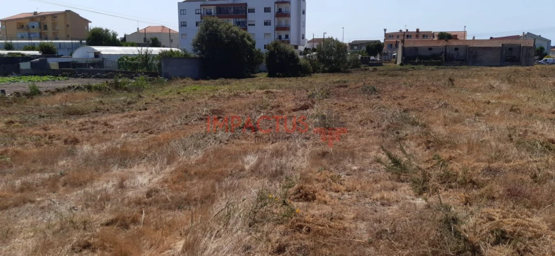 Terreno para Venda em Póvoa de Varzim, Beiriz e Argivai Foto 10