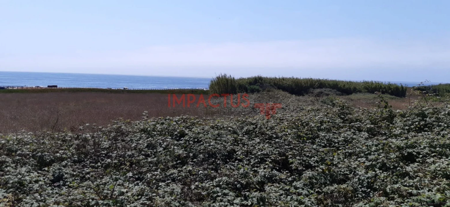 Terreno para Venda em Aver-O-Mar, Amorim e Terroso Foto 21