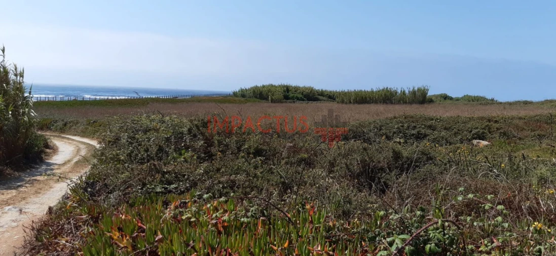 Terreno para Venda em Aver-O-Mar, Amorim e Terroso Foto 17