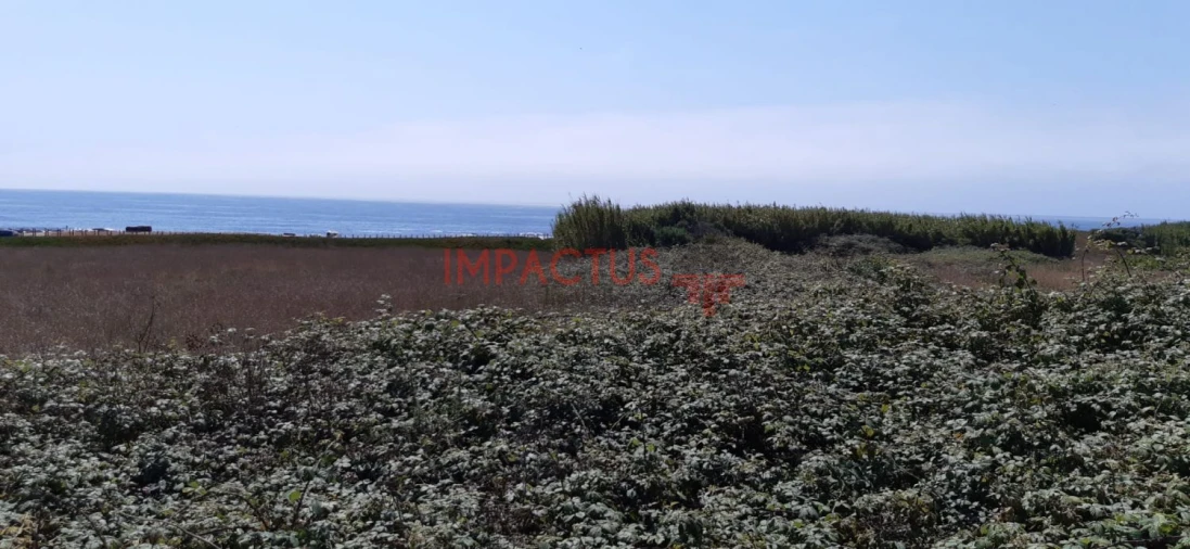 Terreno para Venda em Aver-O-Mar, Amorim e Terroso Foto 21