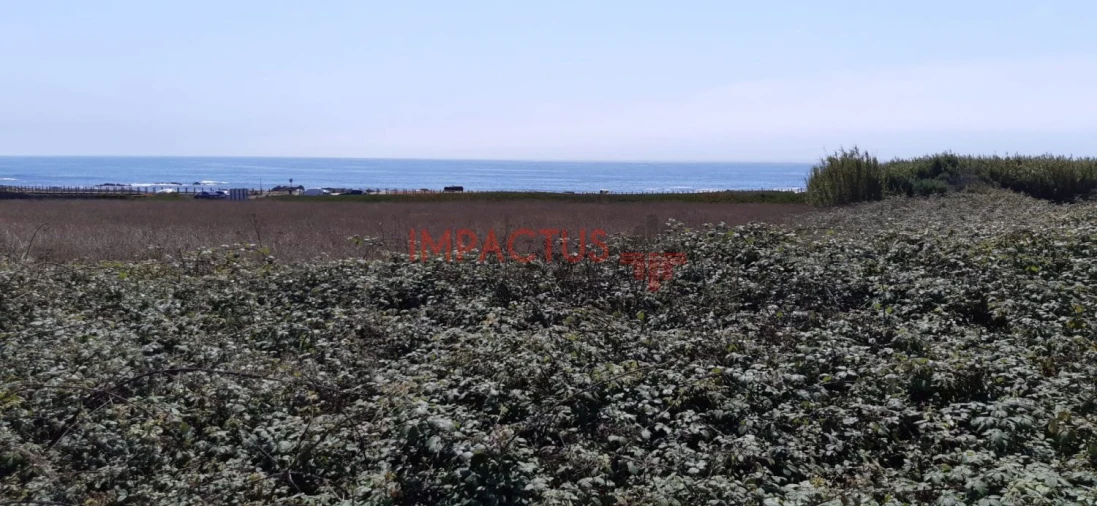 Terreno para Venda em Aver-O-Mar, Amorim e Terroso Foto 22
